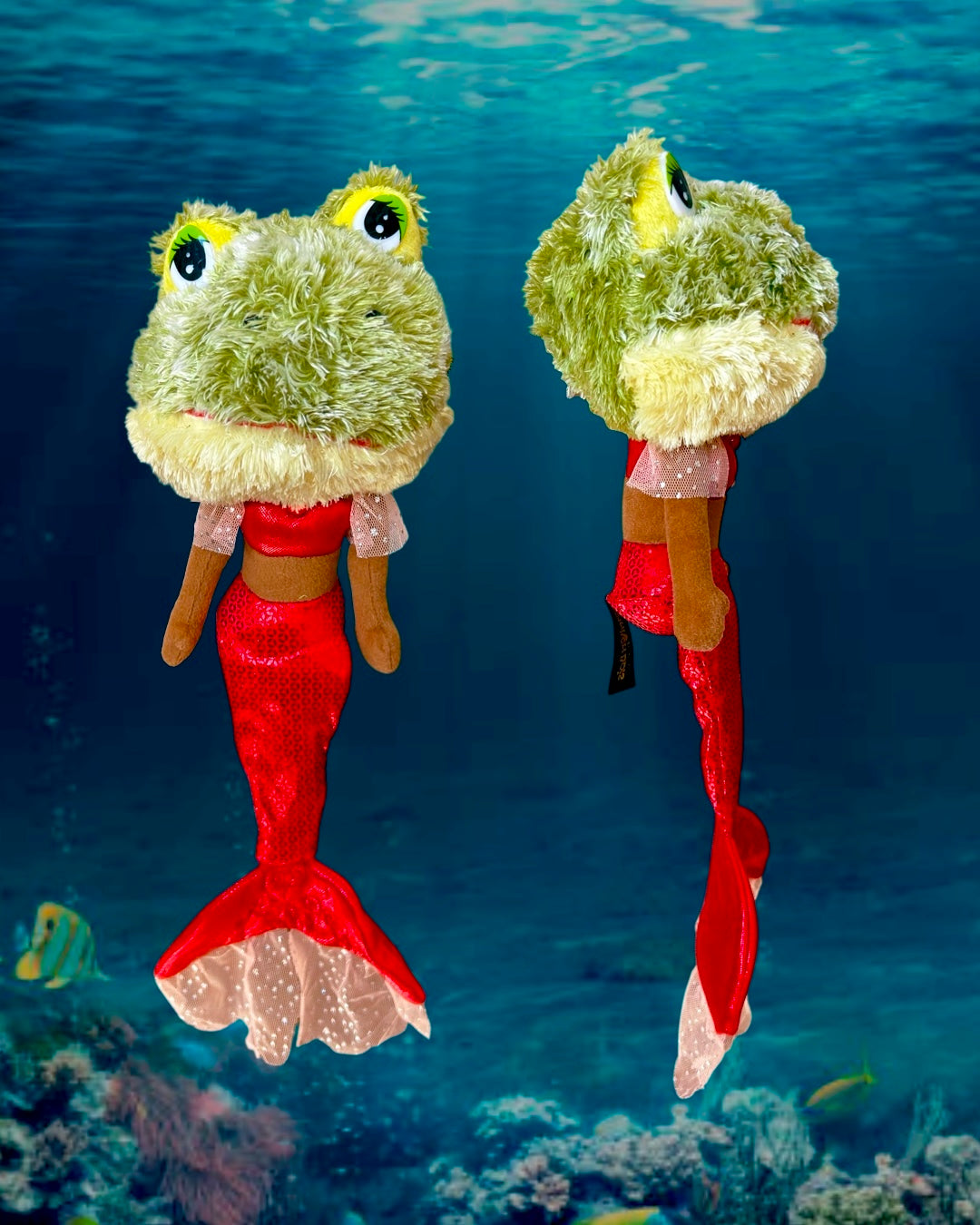 Mermaid Frog