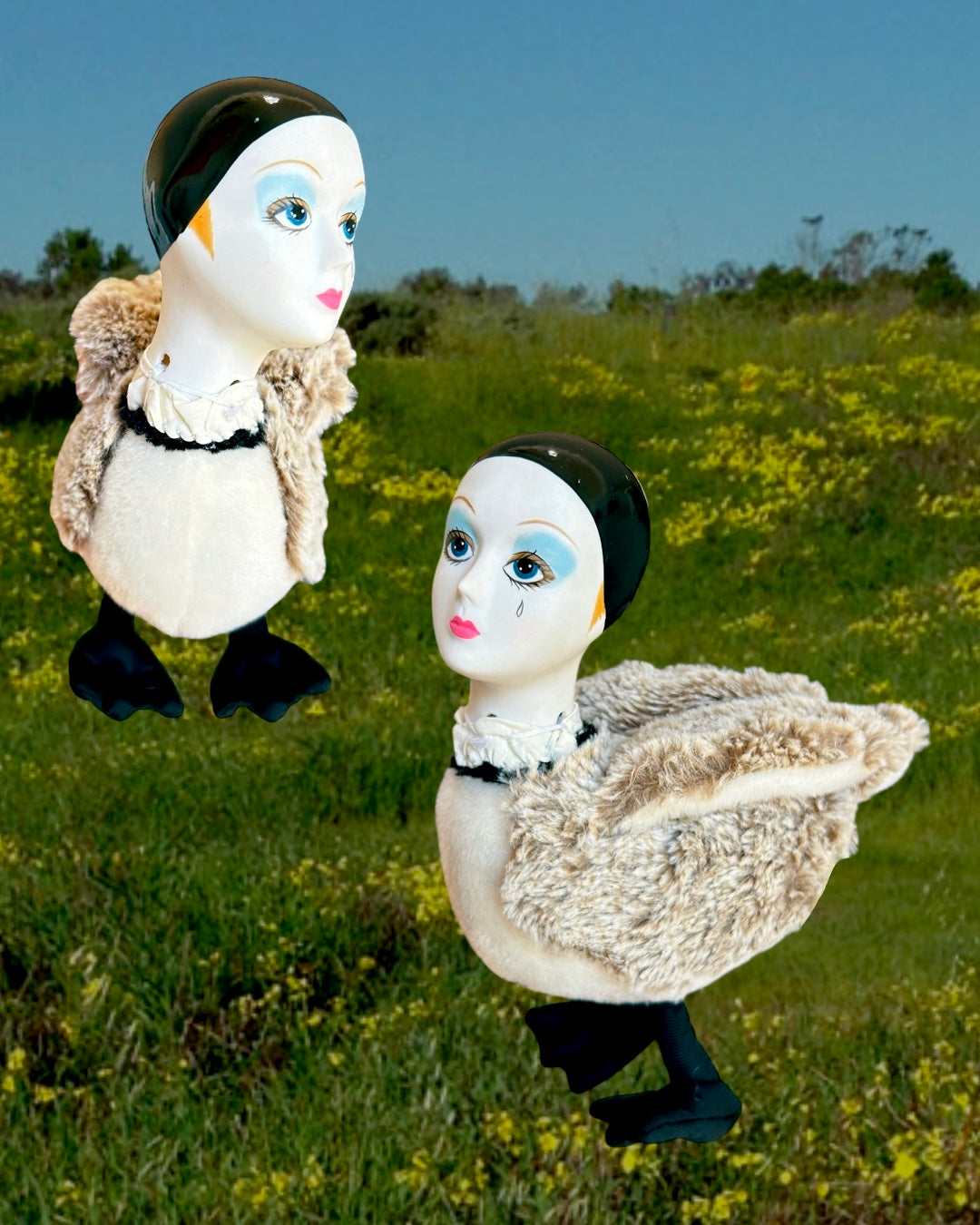 Silly Goose (MAKES GOOSE SOUNDS)