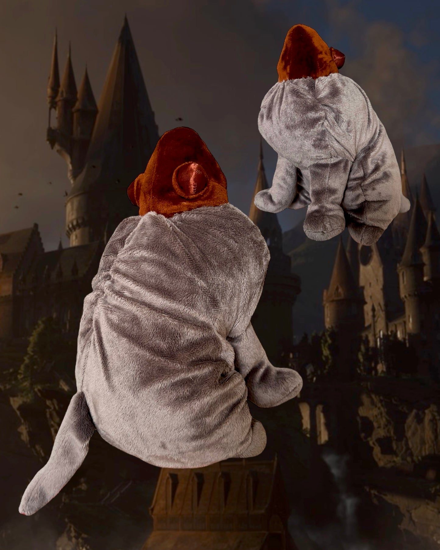 Chocolate Frog Fang (Hagrid's doggy)