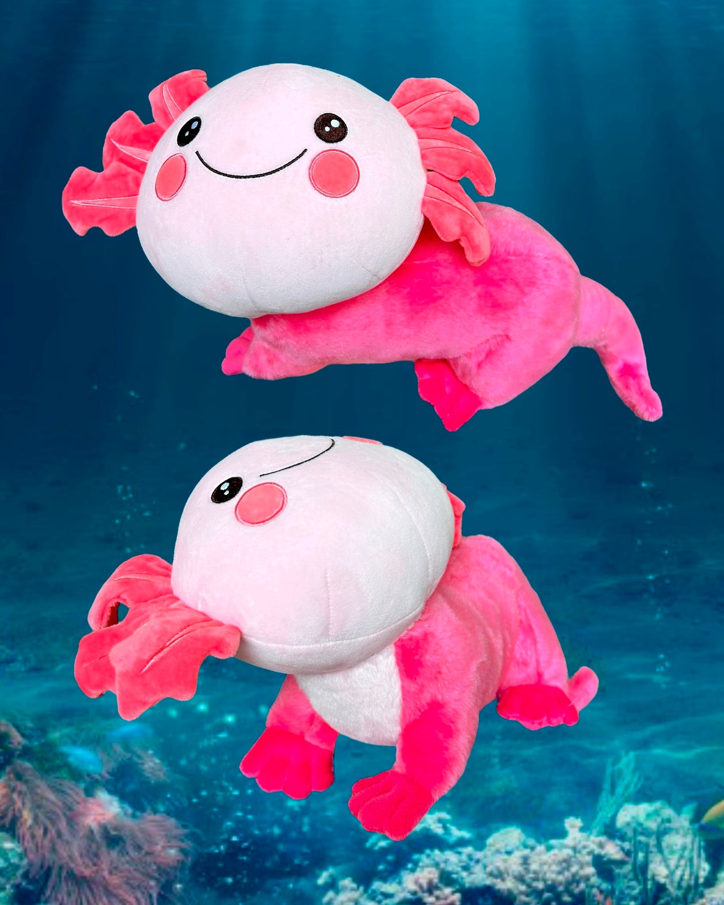 AxolOTTER