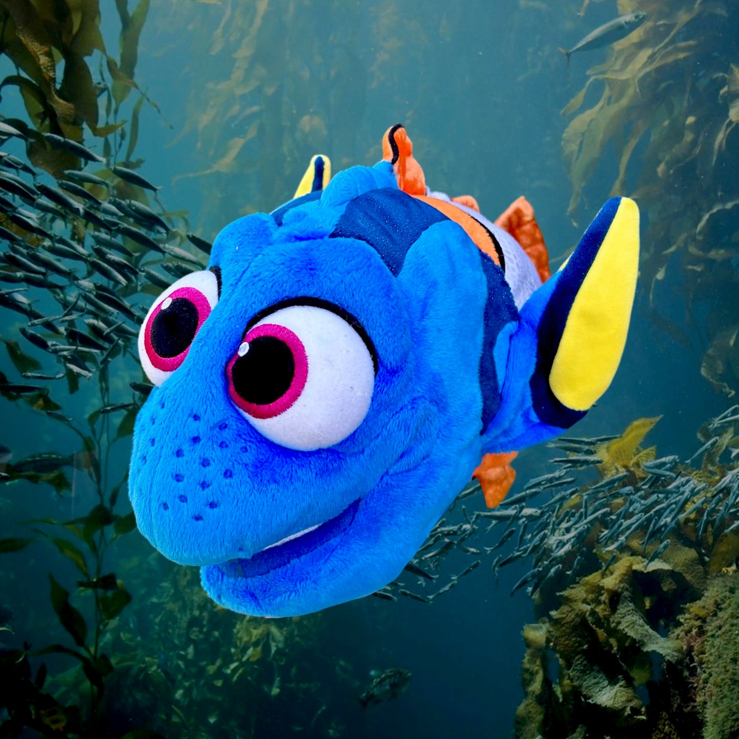 Dory Nemo 02