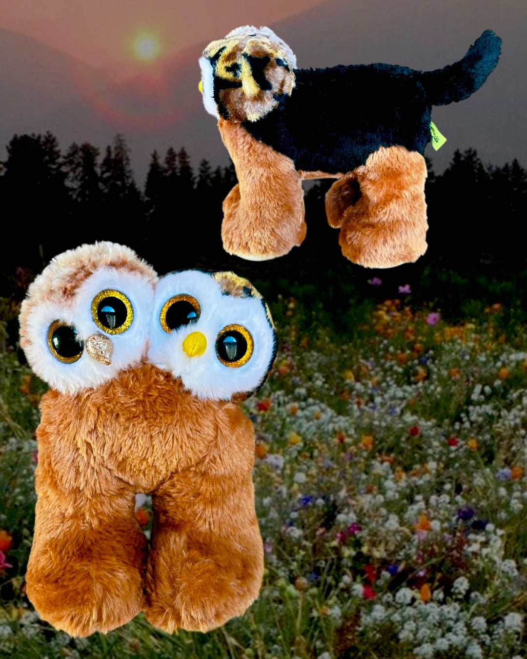 Owl Puppy Twins