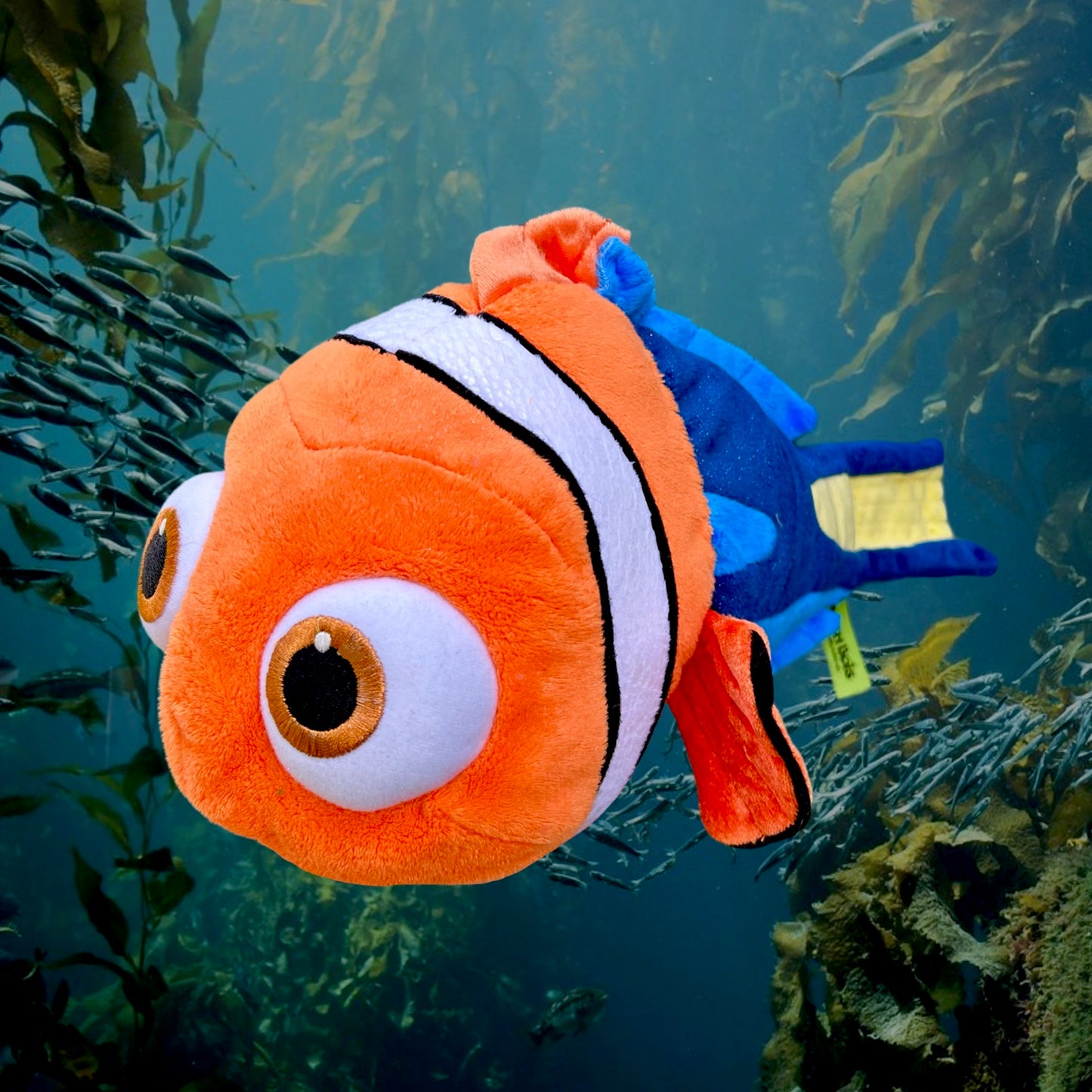 Dory Nemo 01