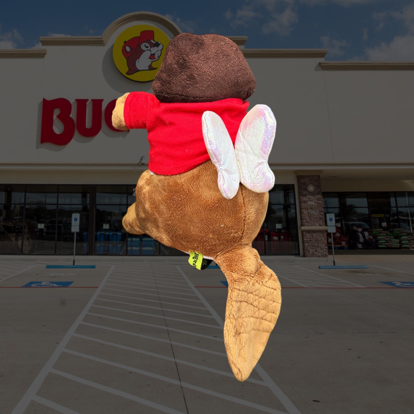 Dora Buc-ee Fairy