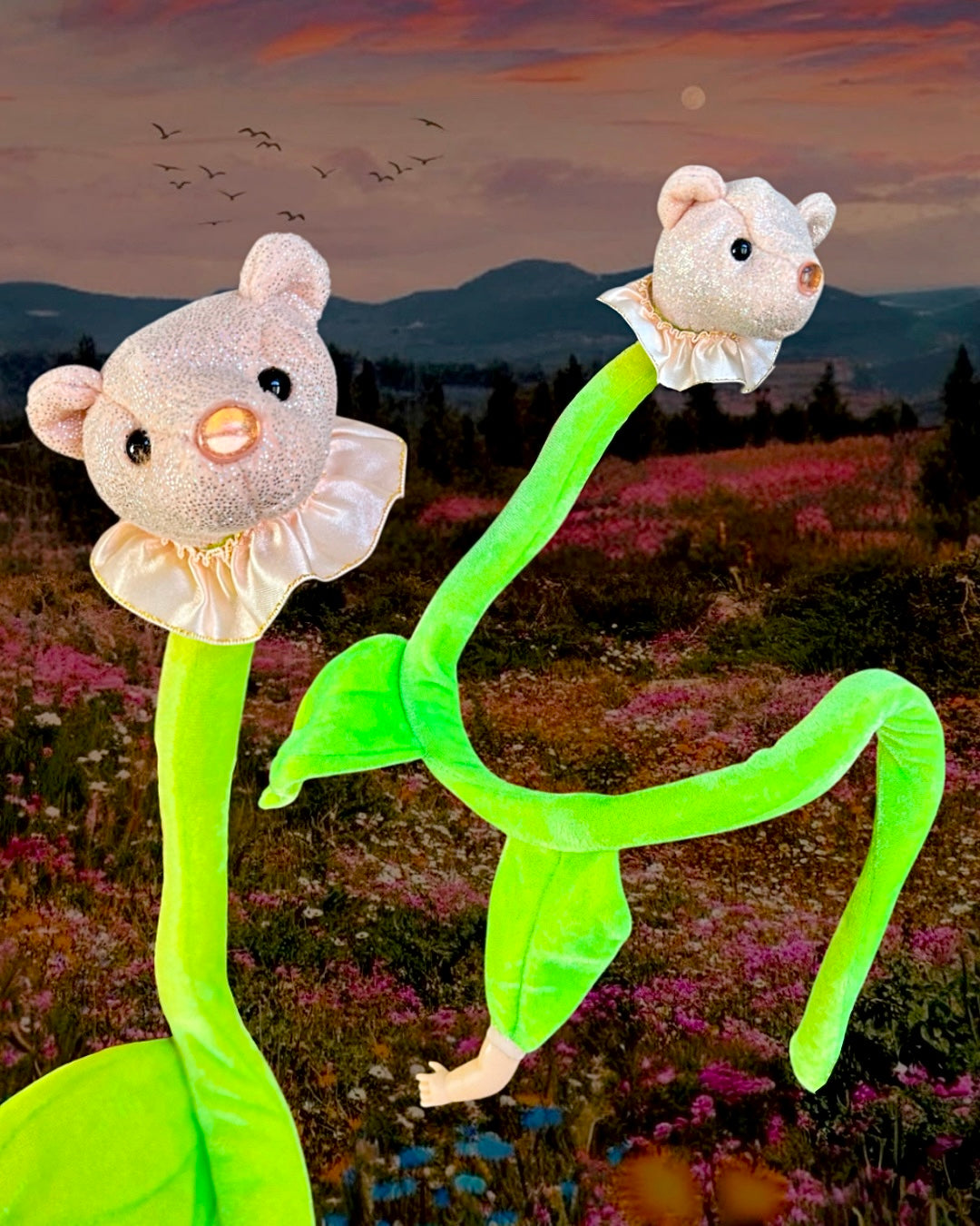 Clown Teddy Flower (BENDY STEM)