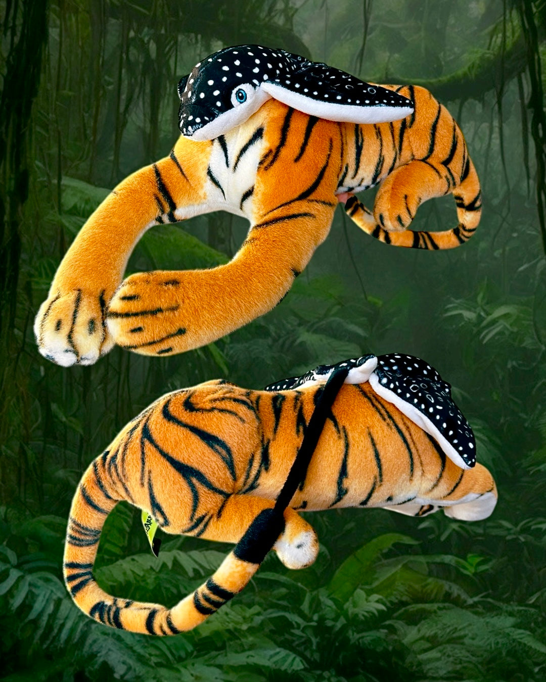Stingray Tiger