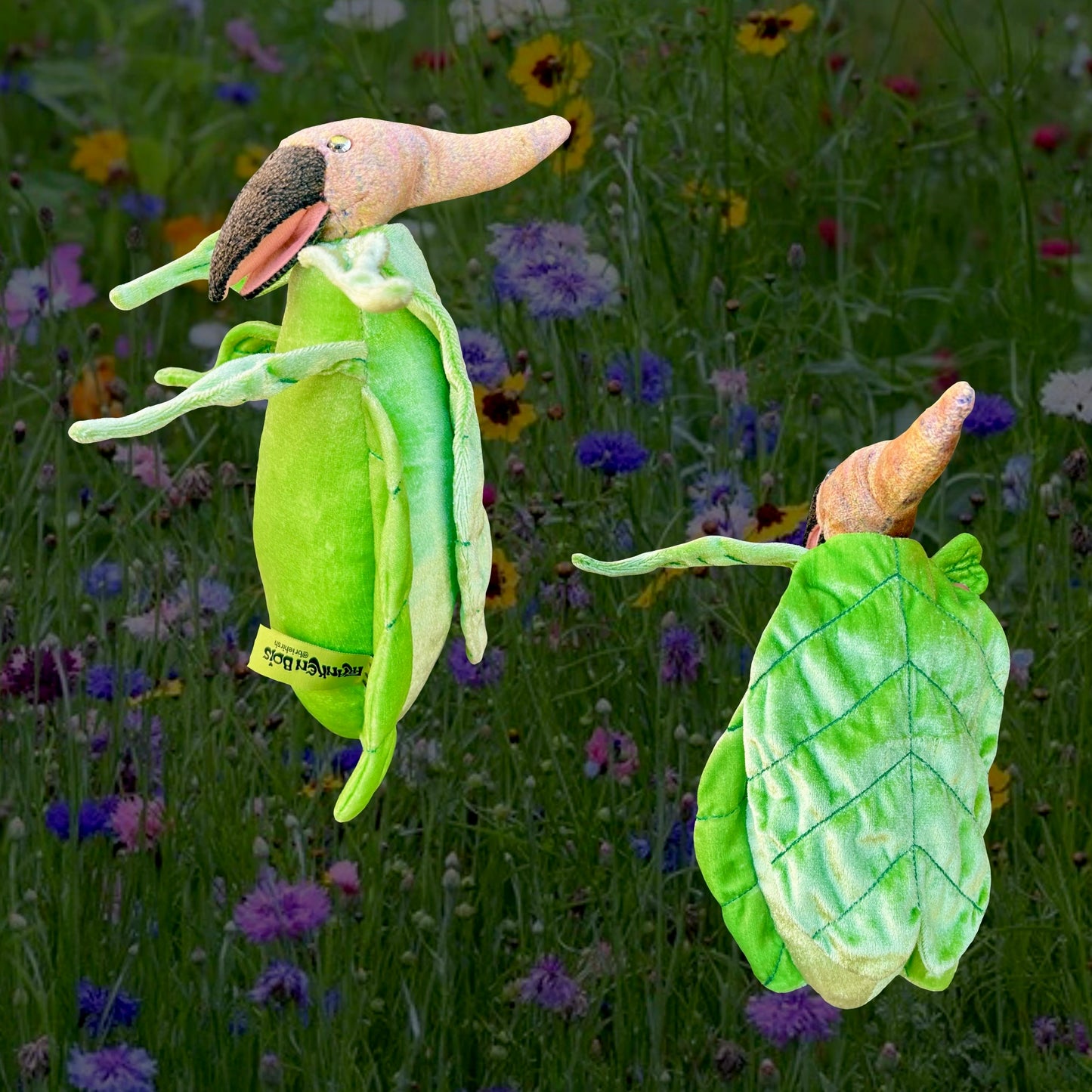 Leaf Bug Pterodactyl