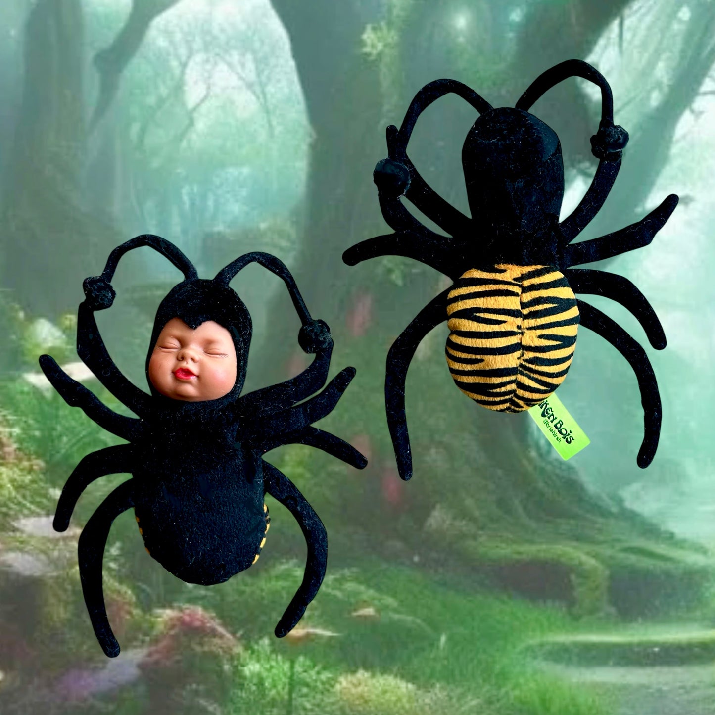 Baby Spider