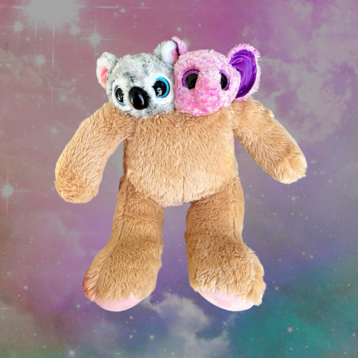 Koala Elephant Twins