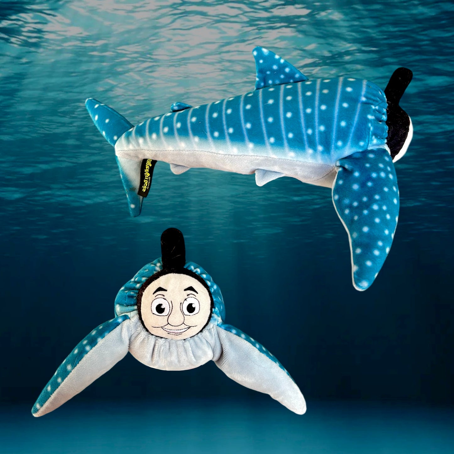 Thomas Whale Shark