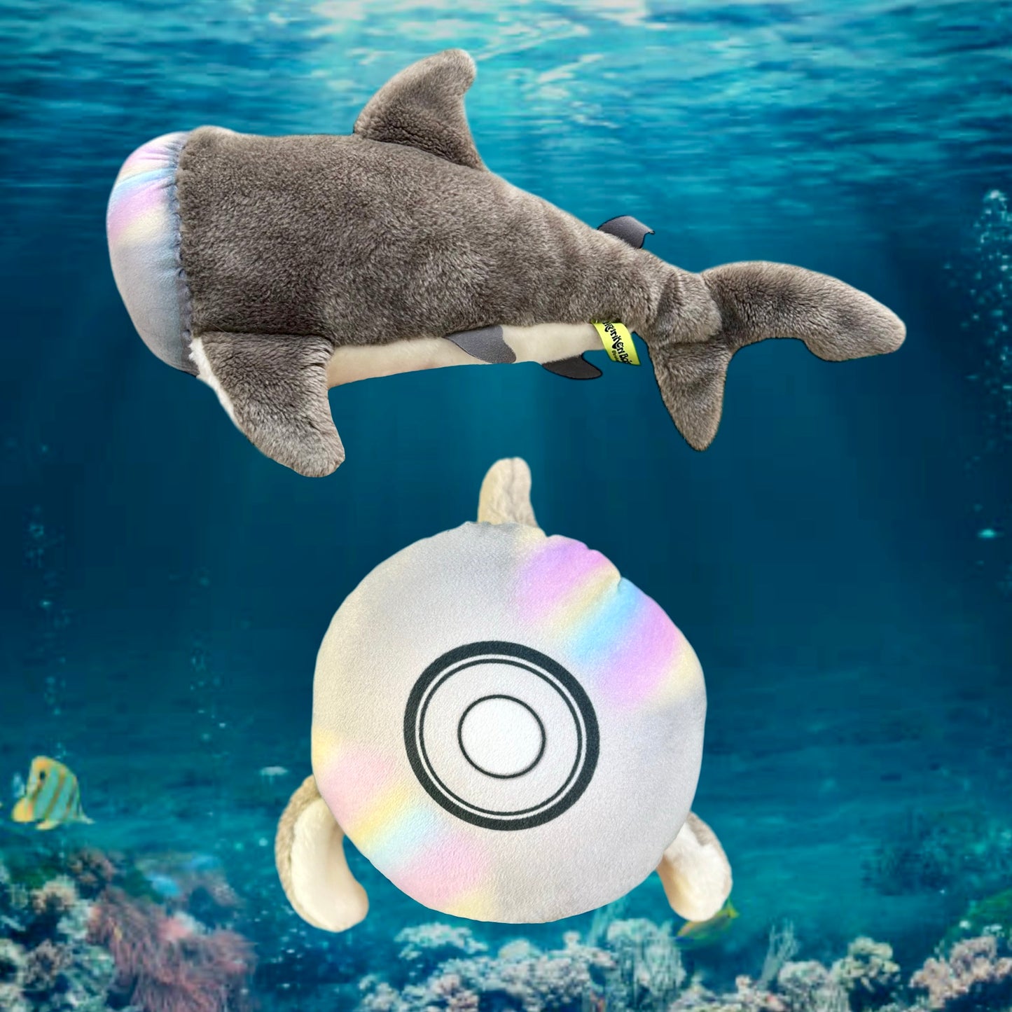 CD/DVD Shark
