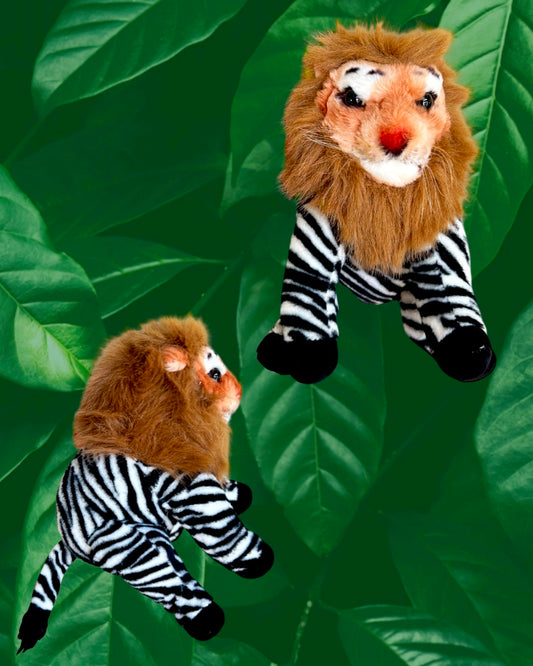 Lion Zebra