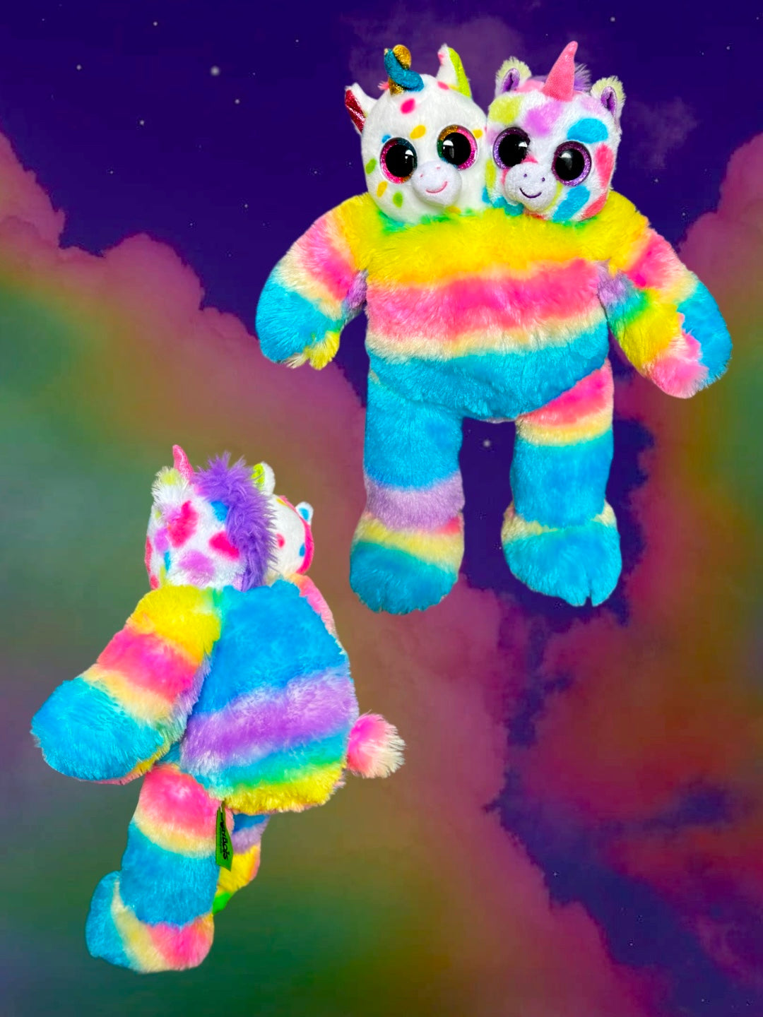 Rainbow Unicorn Twins