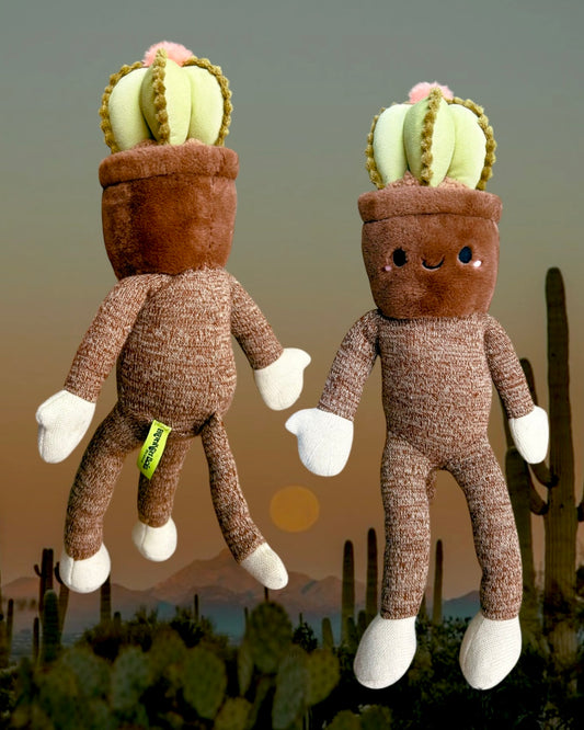 Sock Monkey Cactus