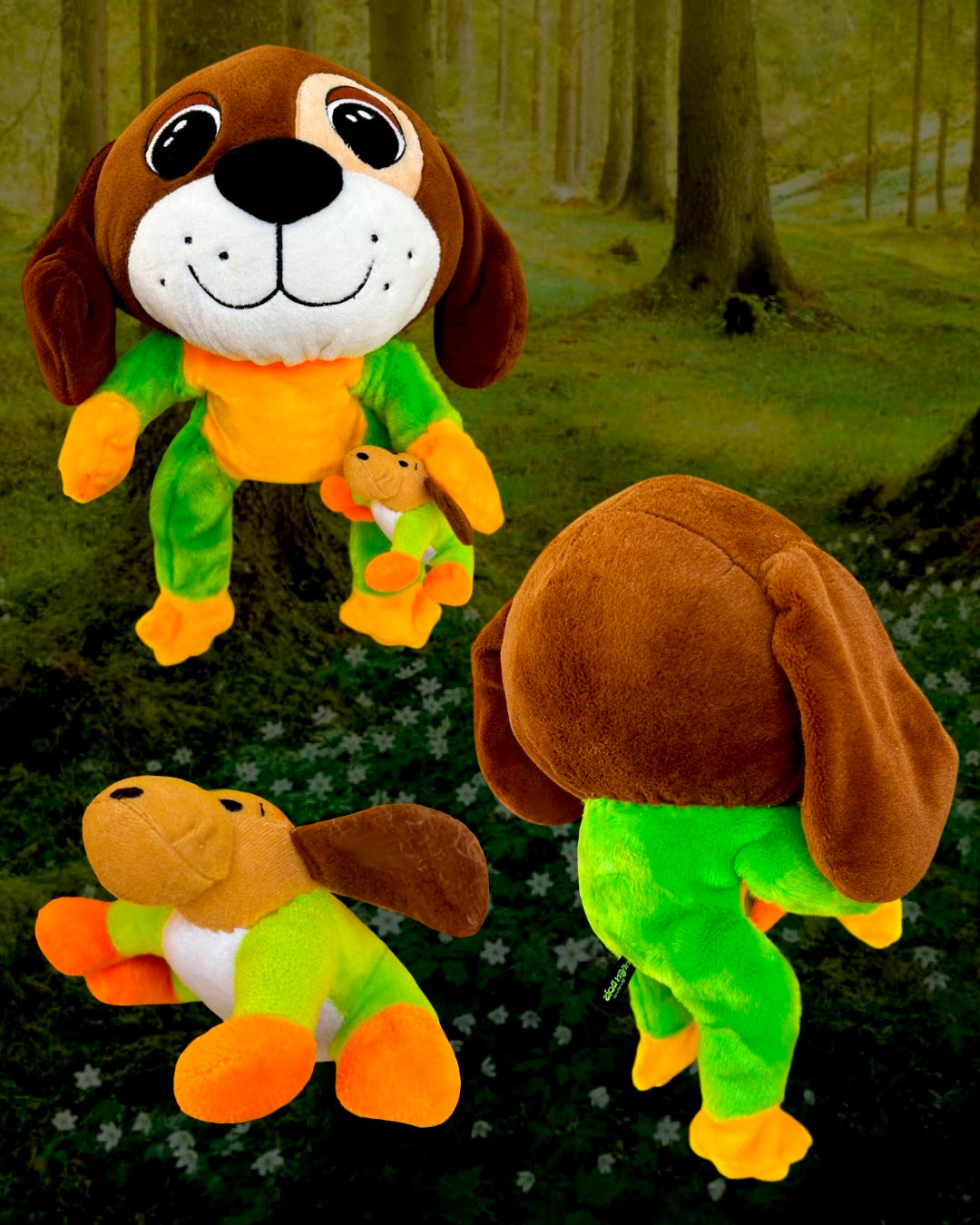 Frog Dog Buddies