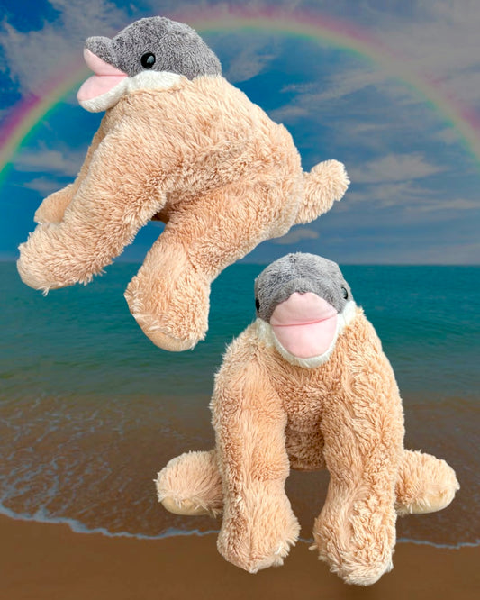 Dolphin Dog