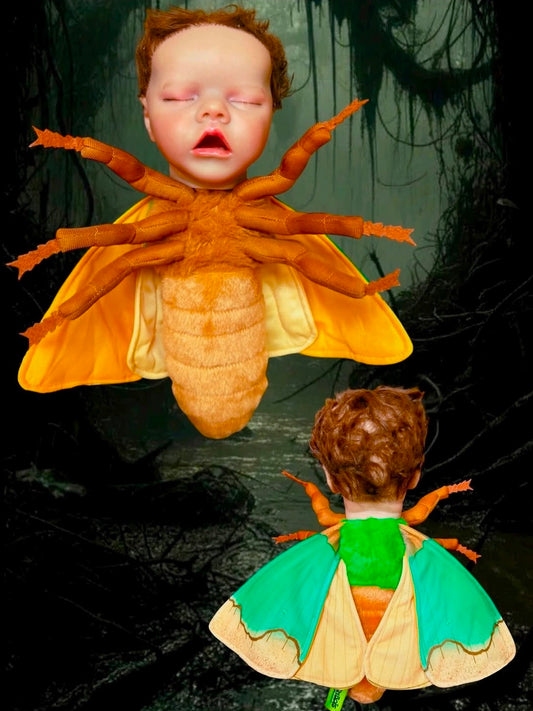 Moth Baby