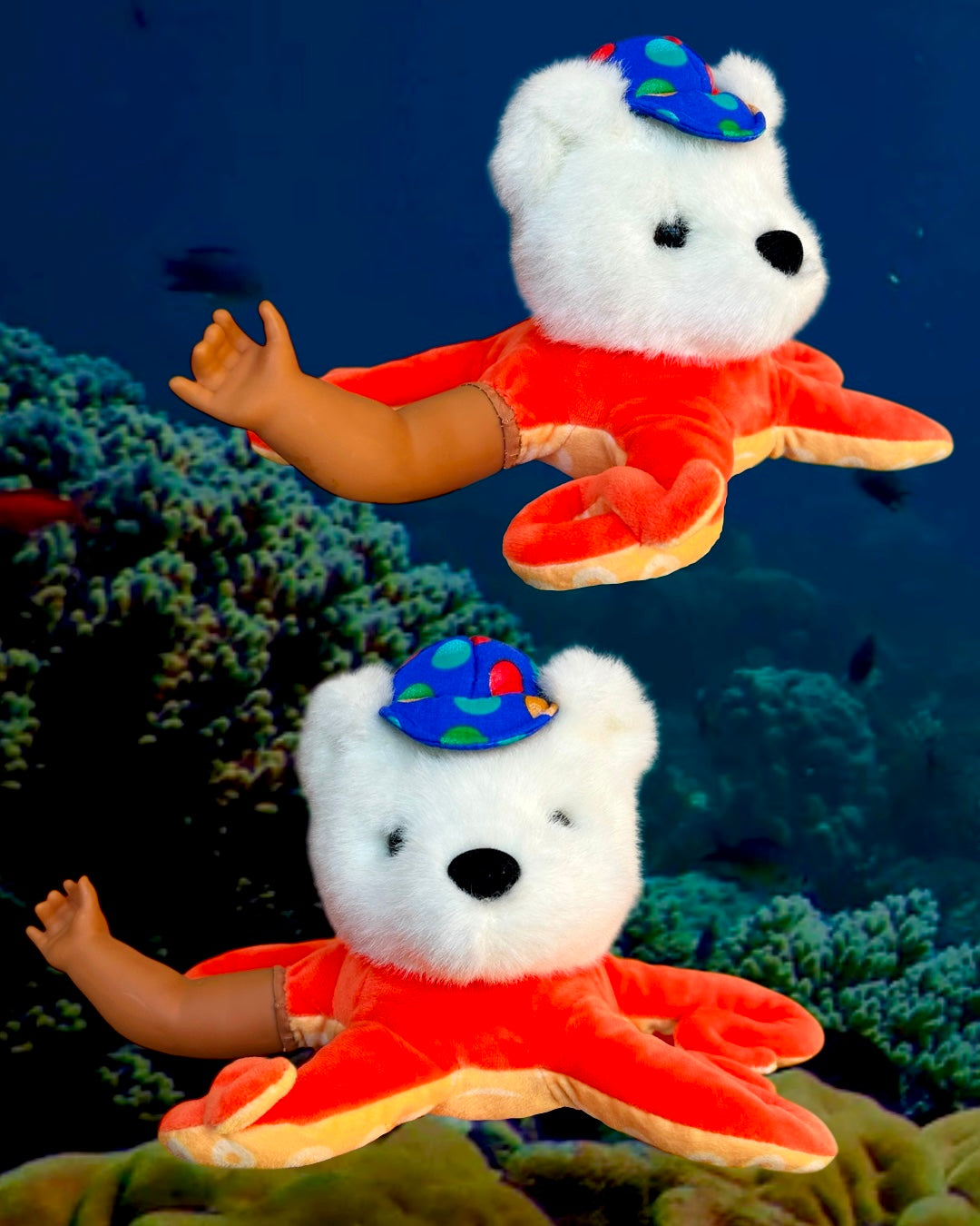 Octo Bear Baby
