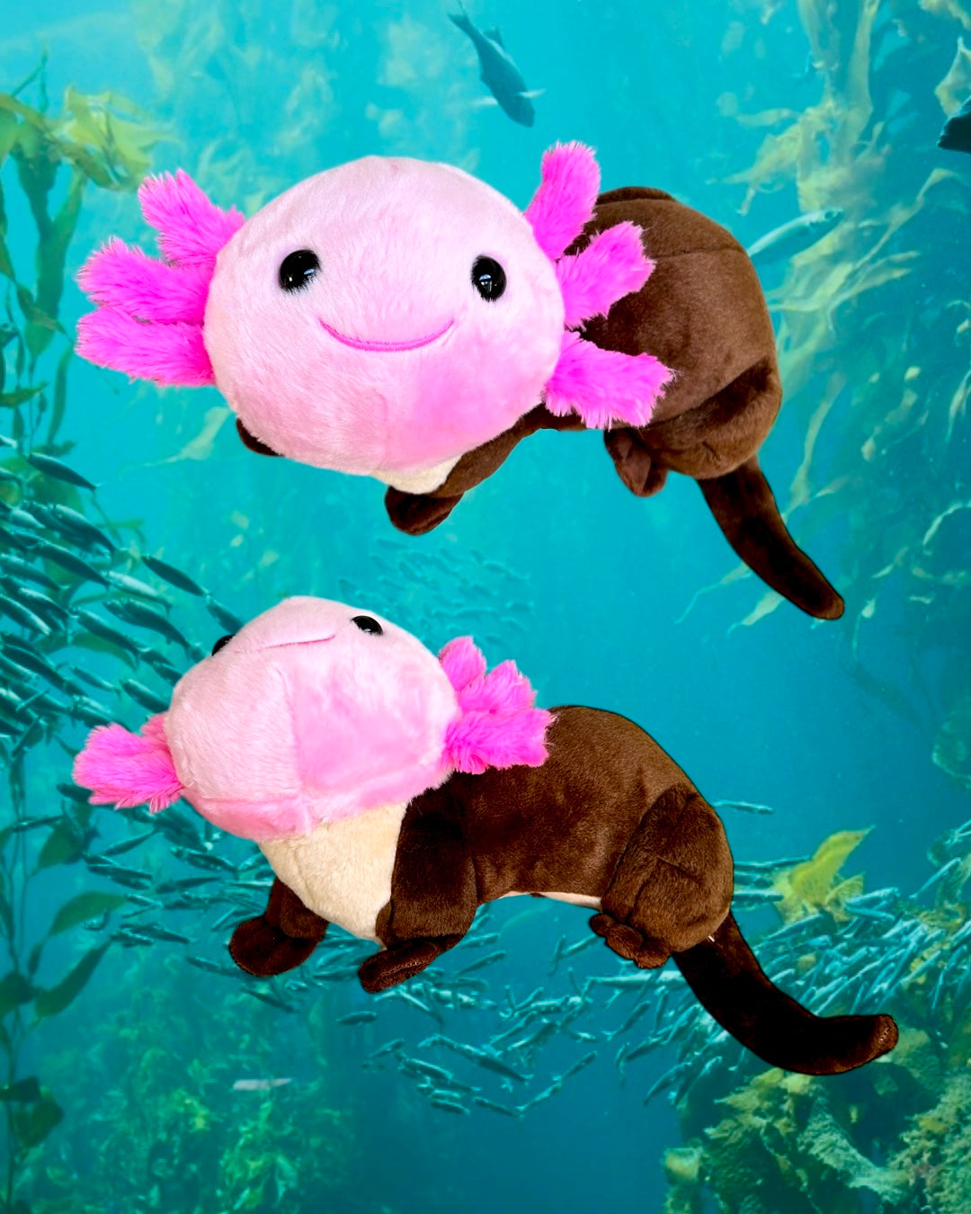 Axolotter