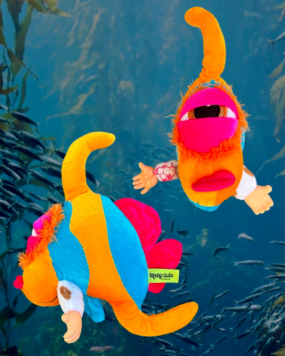Cyclops Fish – FrankenBois